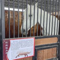 評論圖片 5