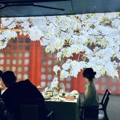 TASTE OF CHINA Immersive Dining User Photo