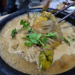 Beidouxing (baihua) ảnh của người dùng