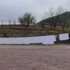 DA LIAN BING YU NONG XIANG QING NONG GU ZHUANG YUAN User Photo