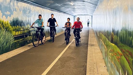 福田河贯穿整个公园，人不多、还是很安静的、适合一个人走在或者