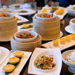JING XUAN User Photo