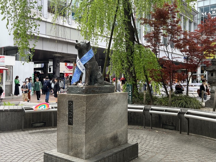 Hachiko Statue Tickets [2026] - Promos, Prices, Reviews & Opening