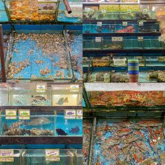 秋姐美食店(11年老字号保利店) User Photo