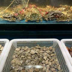 东北第一锹时尚手抓小海鲜(总店) User Photo