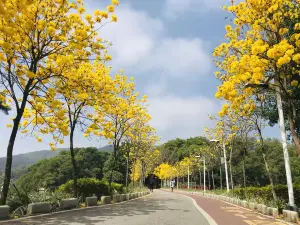 Tianzhu Mountain Forest Park