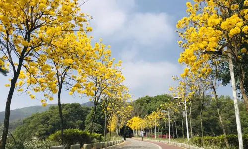 Tianzhu Mountain Forest Park