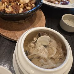 Qingya ảnh của người dùng
