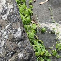 評論圖片 8
