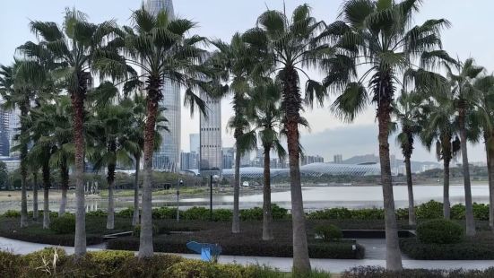 深圳人才公园是我最喜欢的公园。这公园也是深圳市的标志性公园。