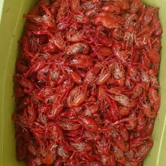 日益森燒雞公張用戶圖片