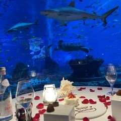 OSSIANO UNDERWATER RESTAURANT & BAR User Photo