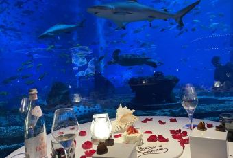OSSIANO UNDERWATER RESTAURANT & BAR User Photo