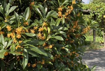 GEORO COFFEE BAR User Photo