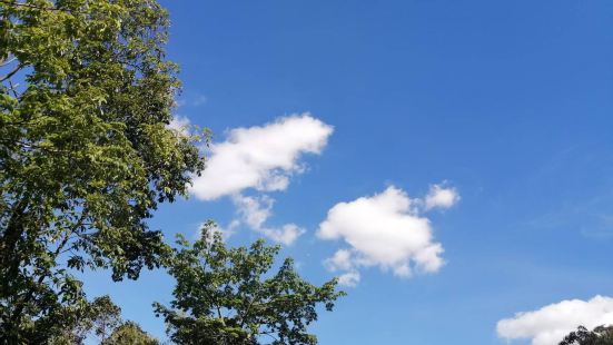 去了很多次这里  在龙华住了几年和朋友  和家人   和对象