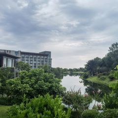 恒邦艾美度假酒店新食谱西餐厅 ảnh của người dùng