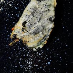 Ralph's Bar User Photo