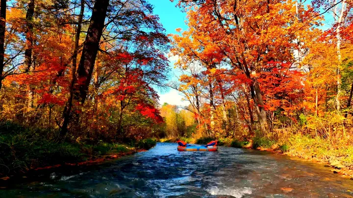 1_露水河國家森林公園