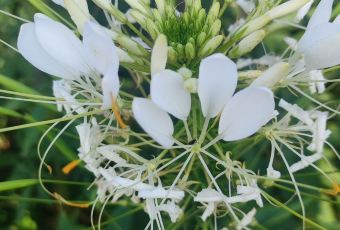 天乐农家鱼头王(天目湖店) 여행 사진