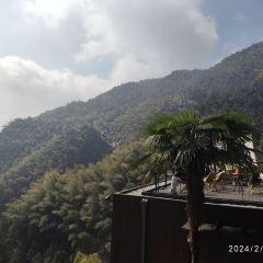 飞茑集樢咖啡 User Photo