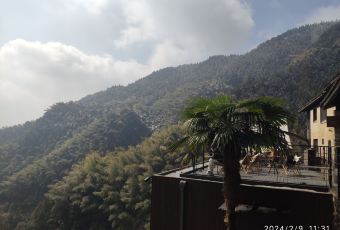 飞茑集樢咖啡 User Photo