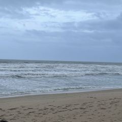 花海全海景海鮮餐廳·愛與花的世界（巽寮店）張用戶圖片