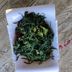 张北沐丰庄园 User Photo