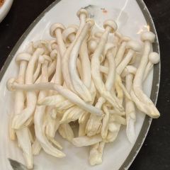 XUEYUTIANCUN ảnh của người dùng