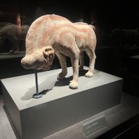 評論圖片 5