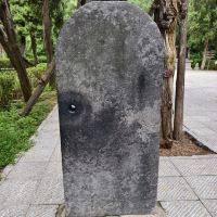評論圖片 5