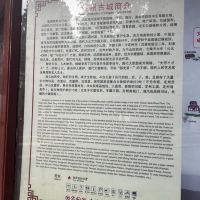 評論圖片 2