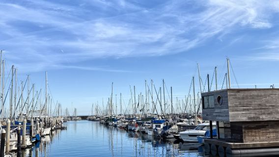 Stearns Wharf