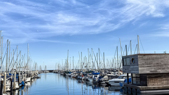 Stearns Wharf