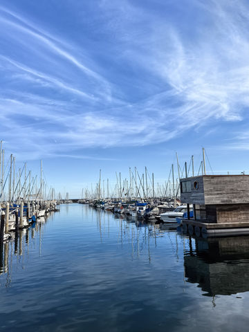 Stearns Wharf