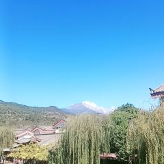 茶马二当家·云南菜·庭院餐厅 User Photo