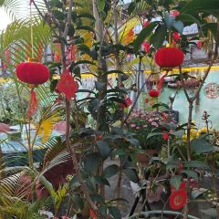么宋餐厅 User Photo