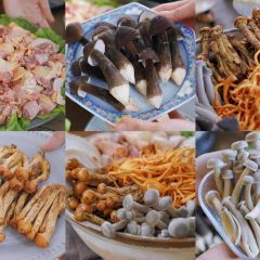 蘑菇盛宴 여행 사진