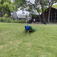 評論圖片 4
