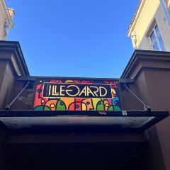 Illegaard User Photo