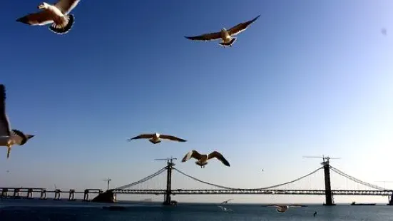 晚上的星海有點點燈光，可以遠望跨海大橋，裏面也有很多遊樂設施