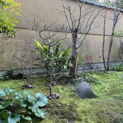 Oimatsu Arashiyama User Photo