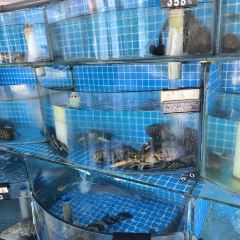 老太太海鮮城（森林公園任家台店）張用戶圖片