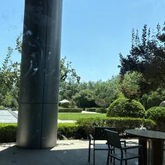 青岛李沧绿城喜来登酒店·雅.日本料理 User Photo