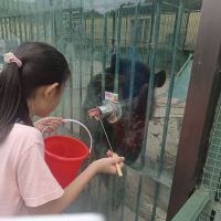 評論圖片 1