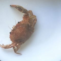 赤山大酒店(西北门店) User Photo