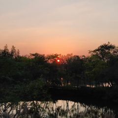 Xi Yin ảnh của người dùng