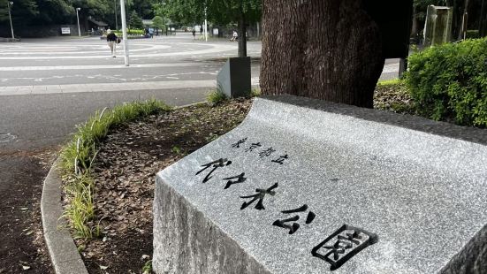 代代木公园离我住的酒店只有几个站于是把回国前的最后一站留给了