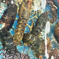 DaYang HaiXianCheng User Photo