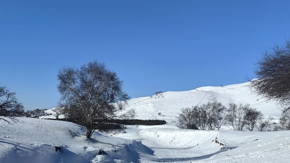 Wulan Butong Grassland - Saibei Snow Village
