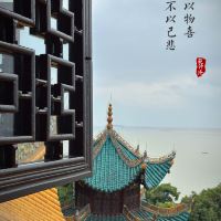 評論圖片 2